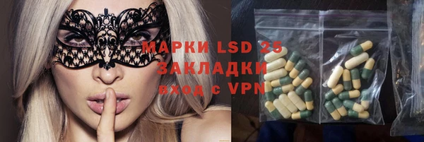 тгк Каменка