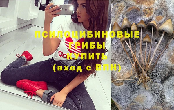 бутират Инсар
