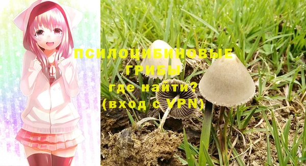 спайс Иннополис
