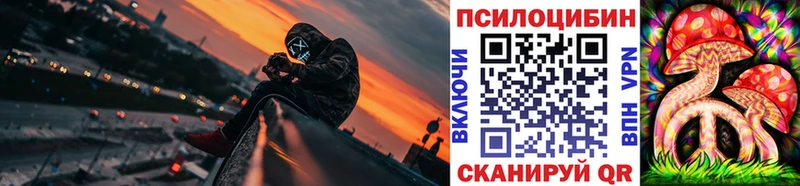 Псилоцибиновые грибы прущие грибы  Купить закладки  Николаевск 